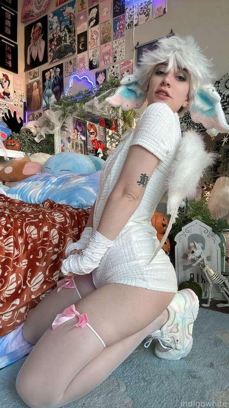 indigowhite image #46
