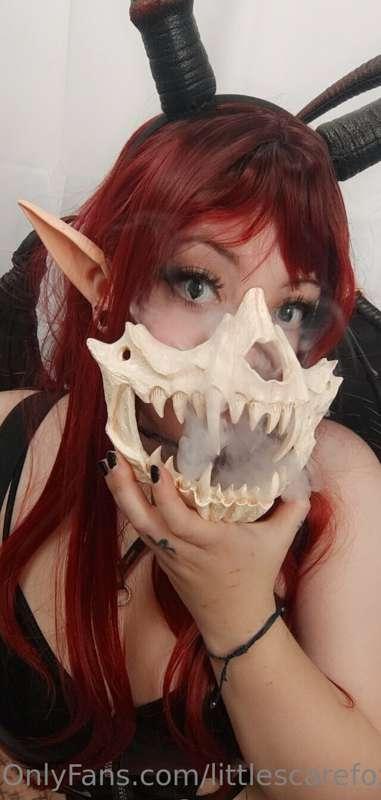 littlescarefox image #1