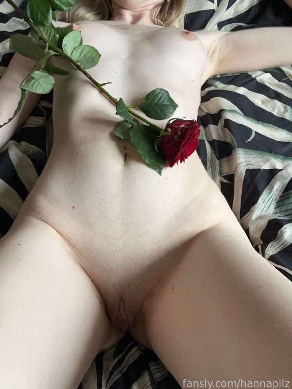 hannapilz image #2