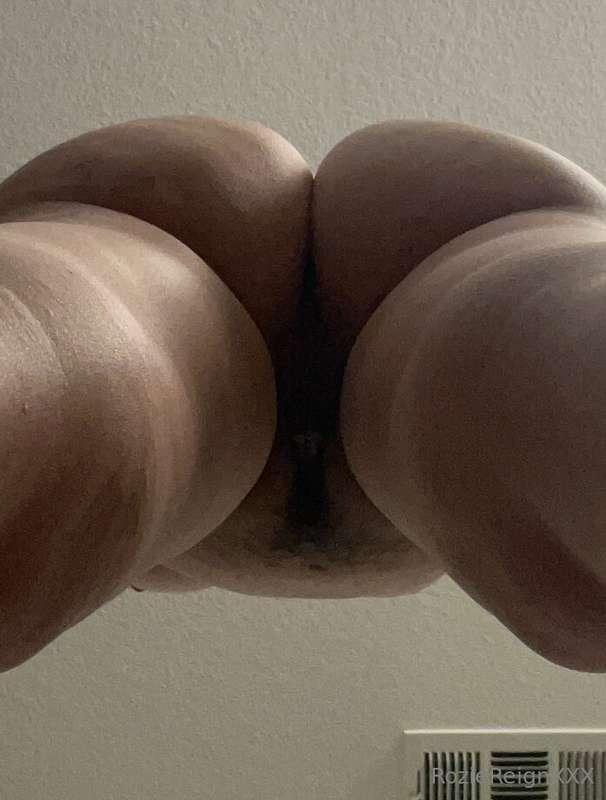 roziereign image #0