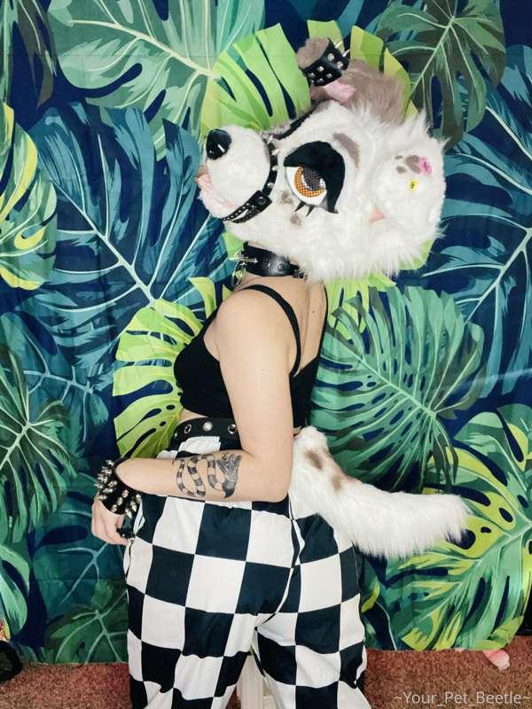 Unfortunately I couldn’t take any videos today doing anythin..