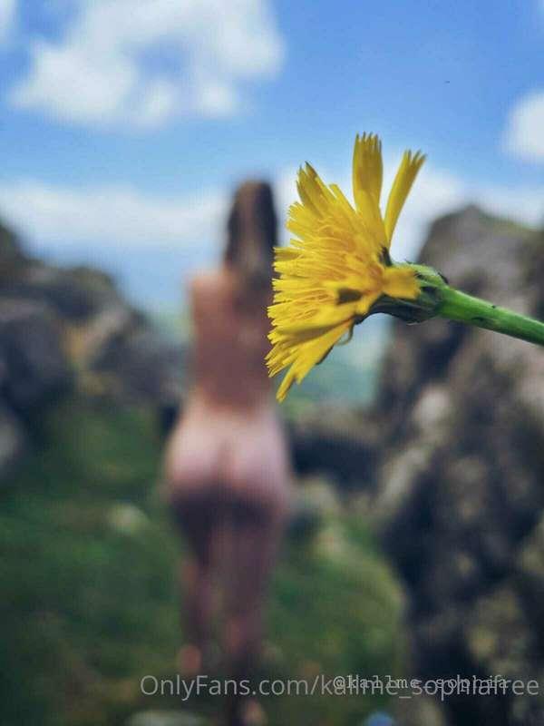 It's an obligation to remove your clothes and take some phot..