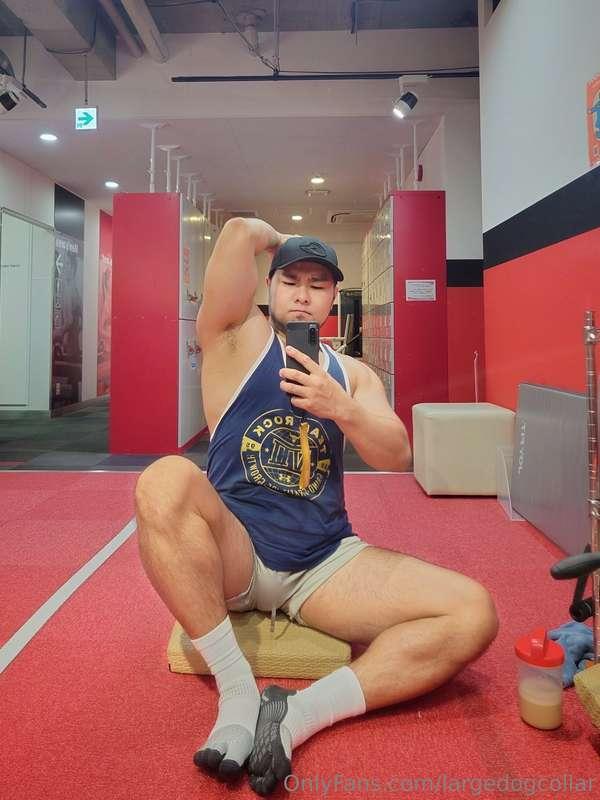 largedogcollar image #0