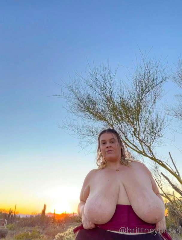 Sunsets & Tits 😊