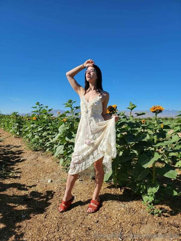 🌻🌻 **Sunflower Outing** 🌻🌻