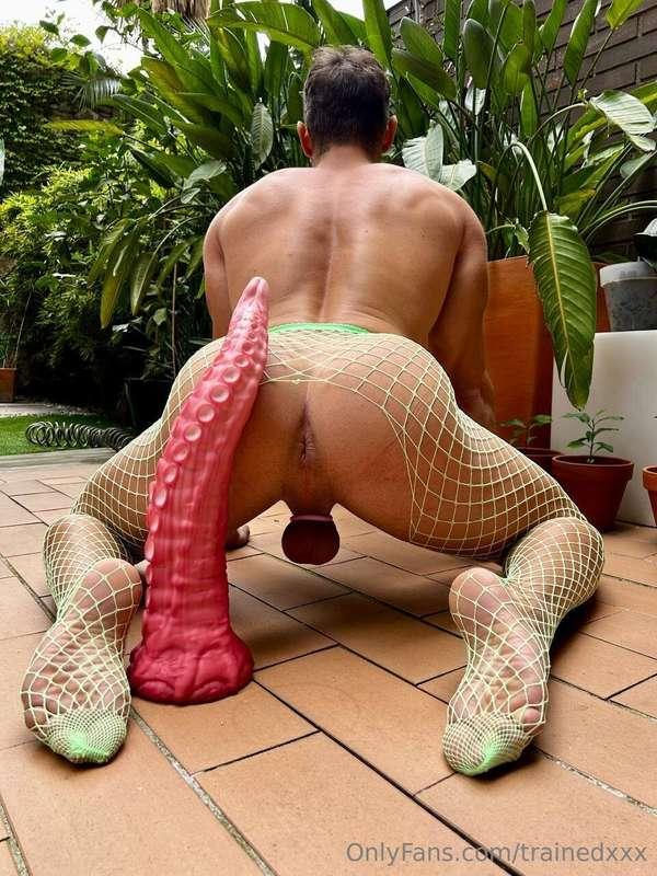 Octopus toy photoset