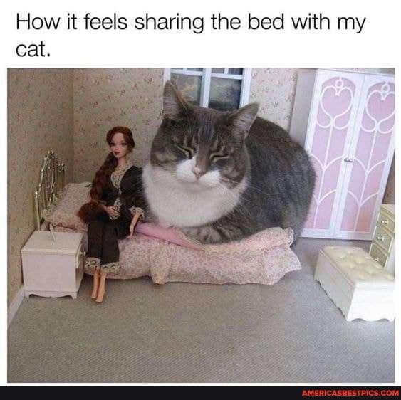 Literally me with my cat~!