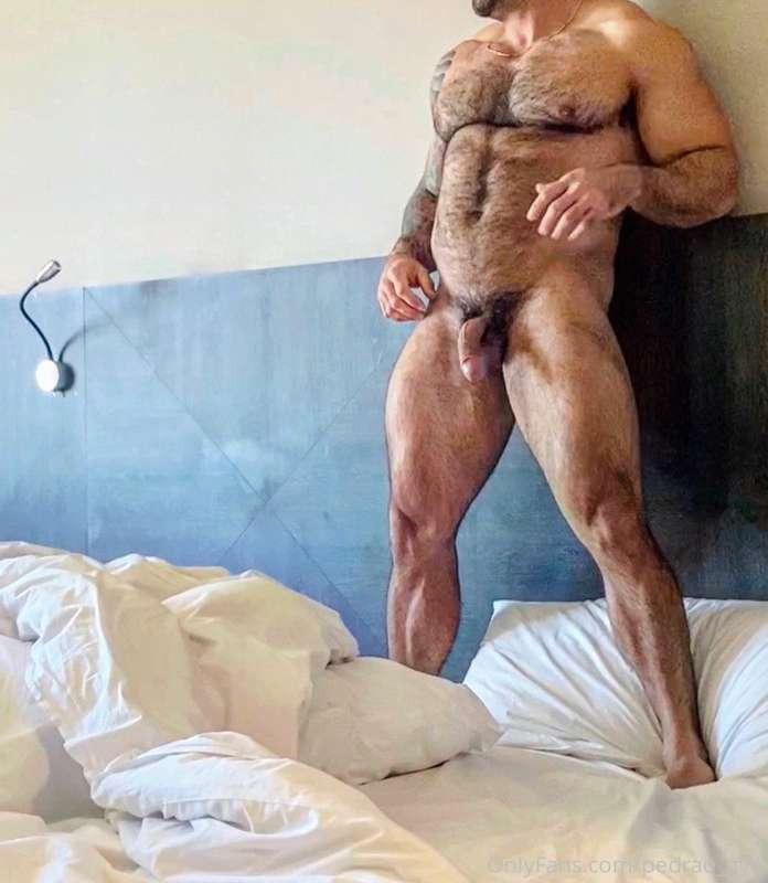 pedrao_gyn image #0
