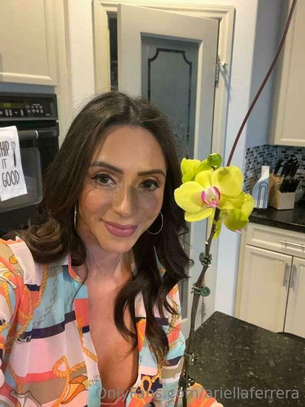 Flowers 💐 make me spread my legs lol