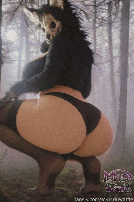 FULL MOON