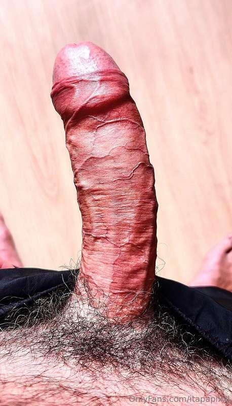 This filter emphasizes the veins of my uncut cock 📸