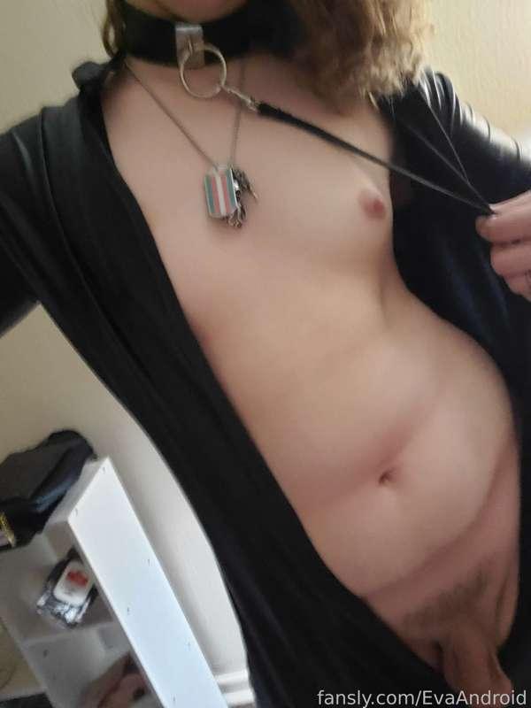 evaandroid image #39