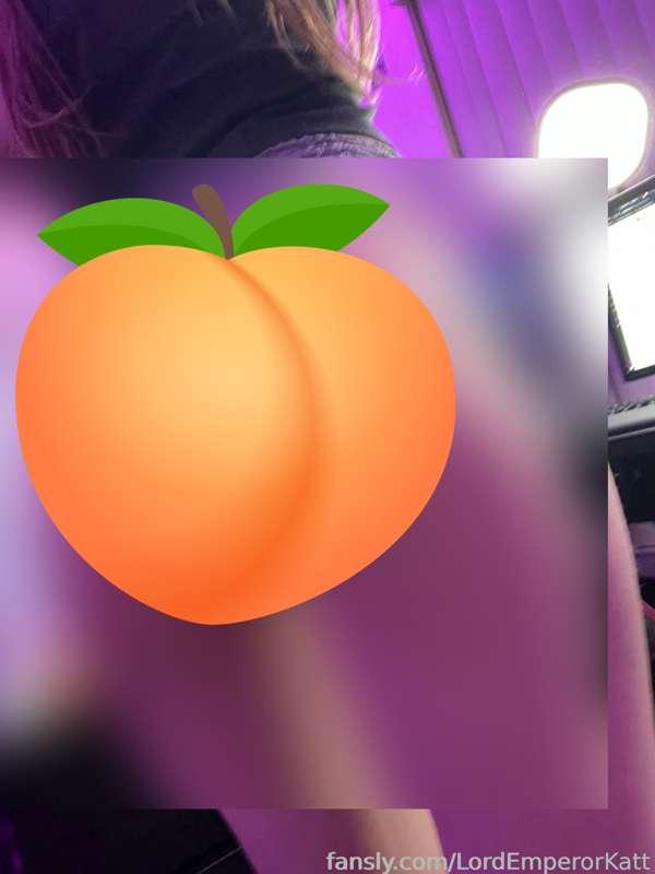 lordemperorkatt image #2