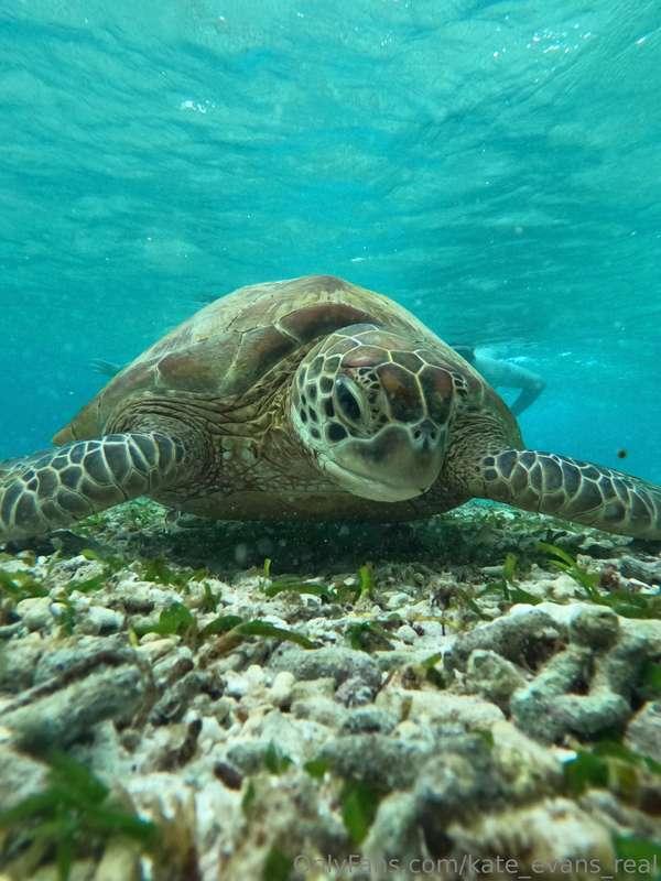 What an encounter! 😍The morning began with an incredible adv..