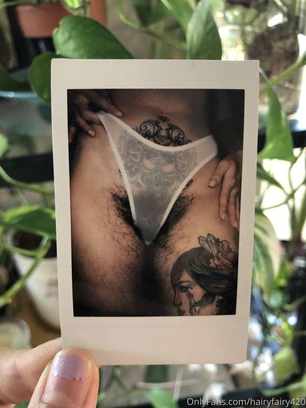 hairyfairy420 image #2