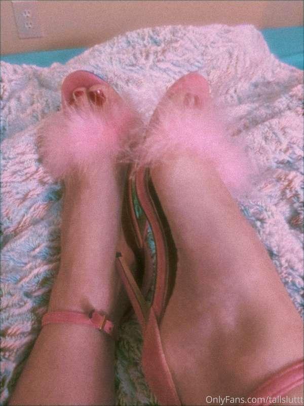 plutocoochie image #1