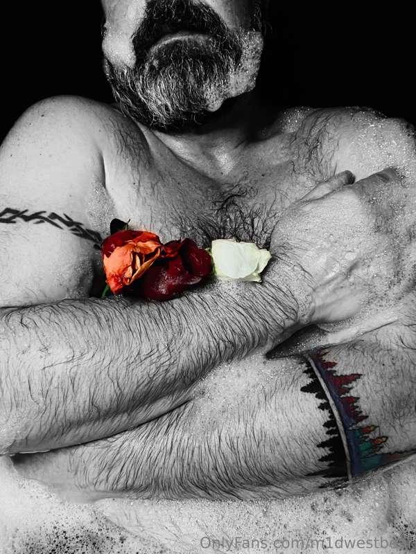 m1dwestbear image #8
