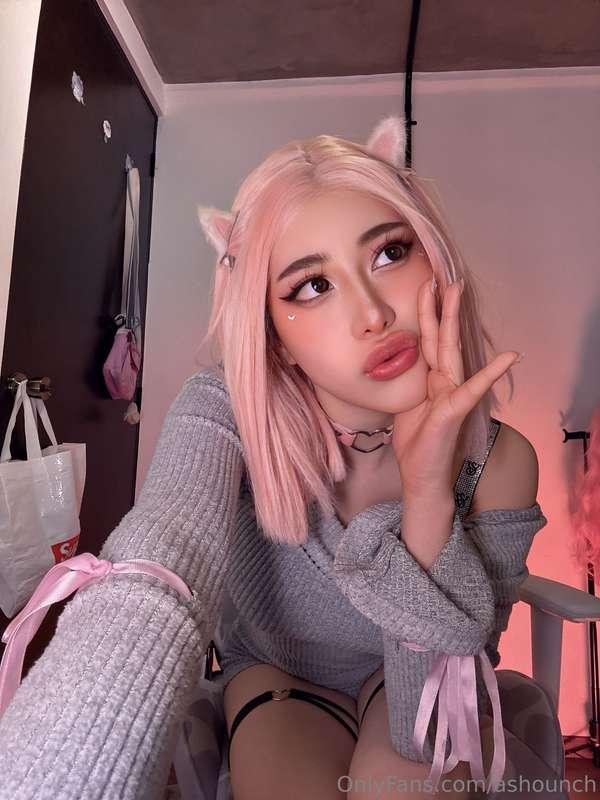 ashounch image #2