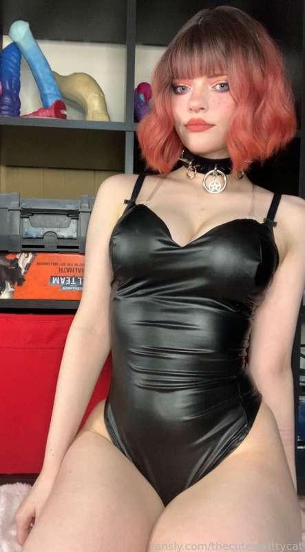 thecutestkittycat image #2