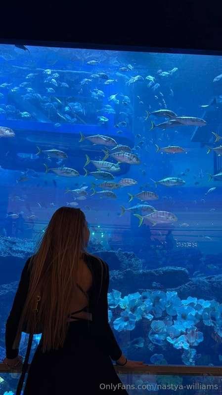 I'm looking for a goldfish that fulfills my 3 wishes 😂🐡