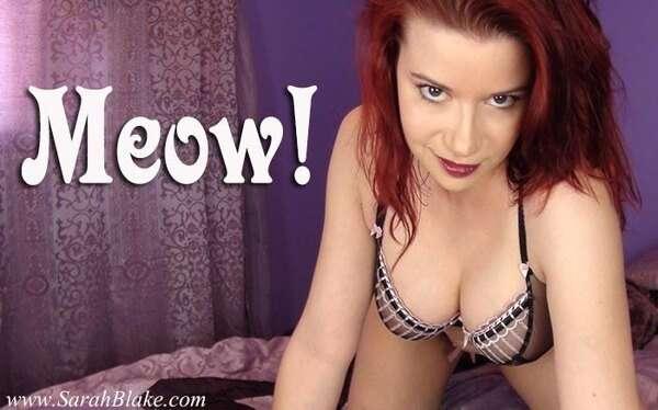 Meow!
