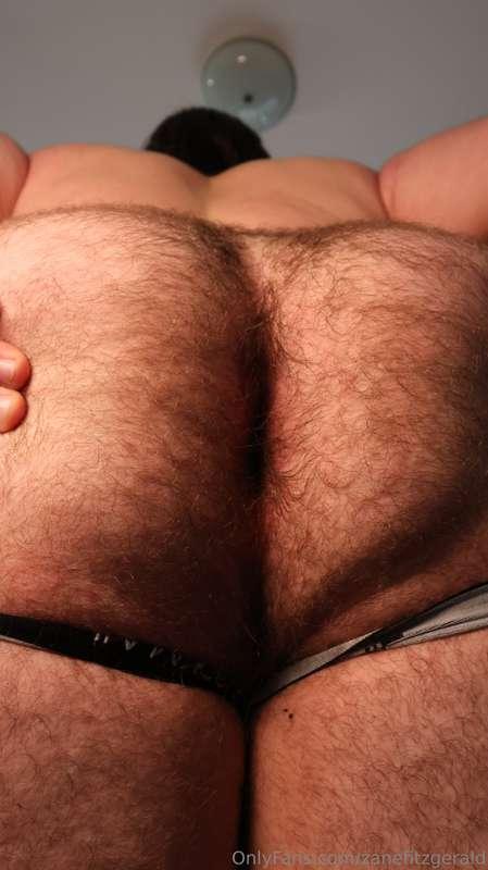 zanefitzgerald image #2