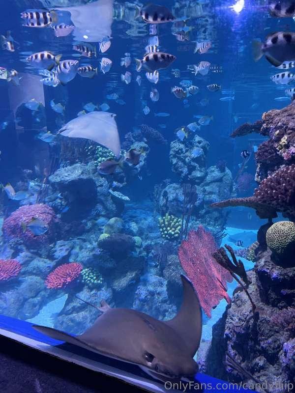 This place is one of the most amazing places, where every de..