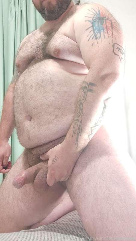 bearpamp image #0