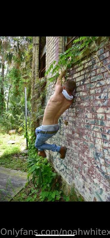 noahwhitexxx main image