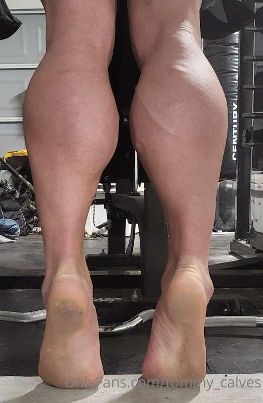 tommy_calves image #0