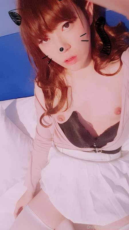 cdwant2 image #4