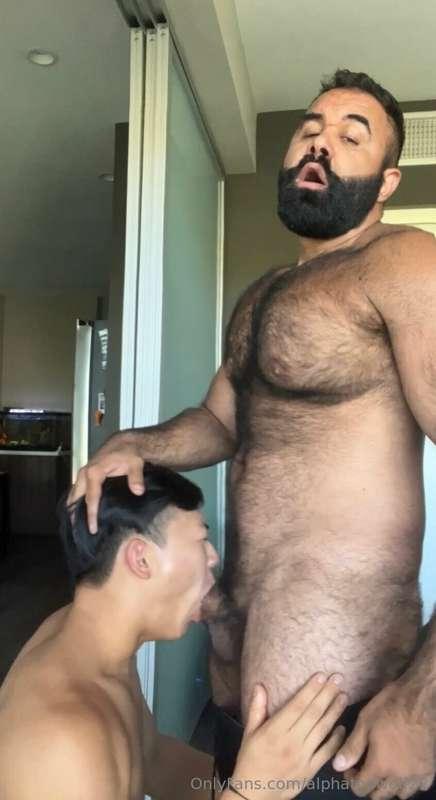 alphatopwolf22 image #8