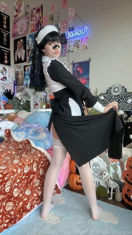 indigowhite image #46