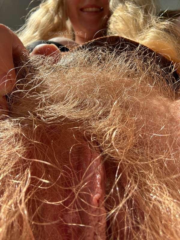 hairyblondie image #0