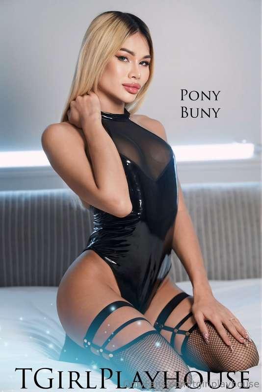 tgirlplayhouse image #0