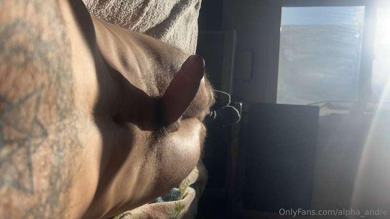 Morning shadows 🍆