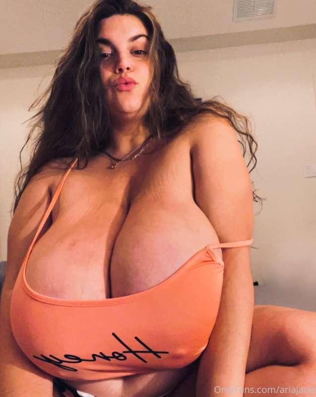 ariajane image #0