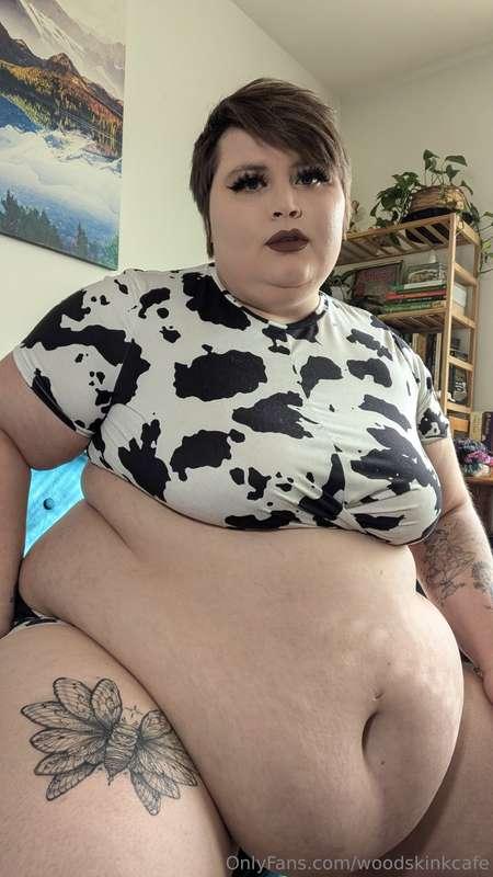 Cow cutie 🐮 (photoset part 1/?)