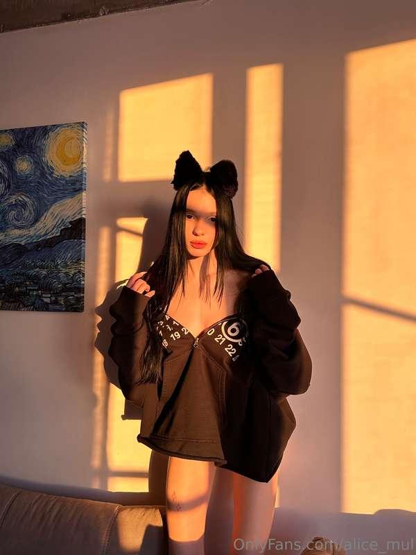Sunlit moments with a touch of feline charm 🐾🌞