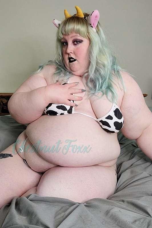 Mooooo. Would you impregnate this horny cow to grow her udde..