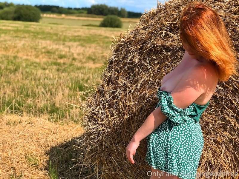 gingeralefree image #2