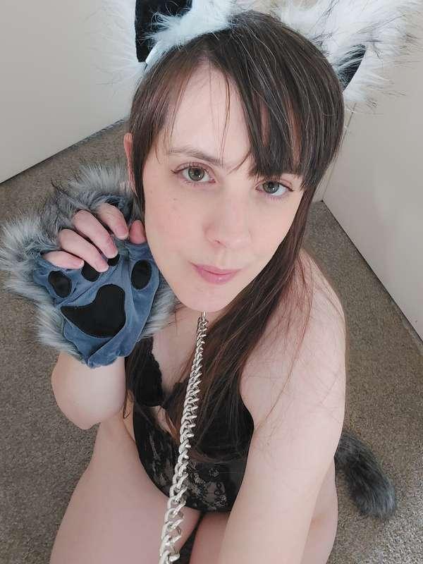 Happy HOWLloween!