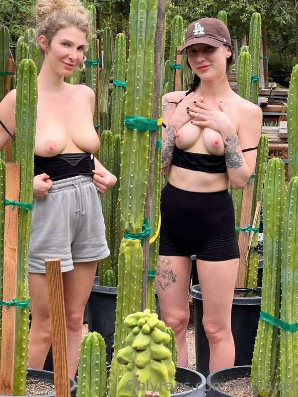 Plant shopping with @jandjbts 🫣🌴