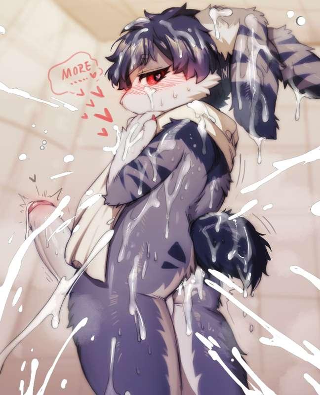 🐰🐰🐰