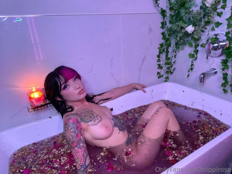 trippirose image #17