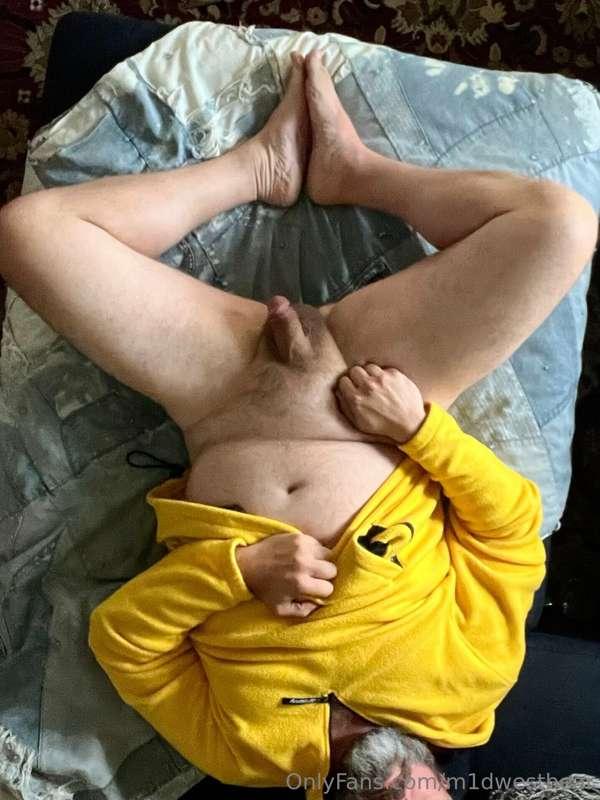 m1dwestbear image #3