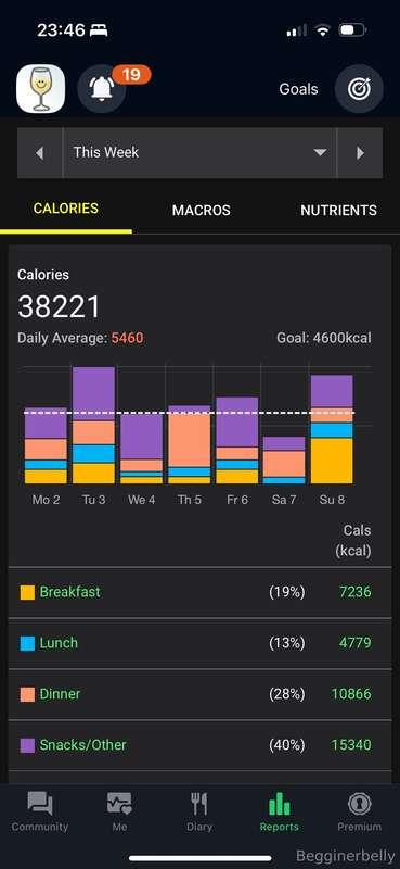 begginerbelly image #1