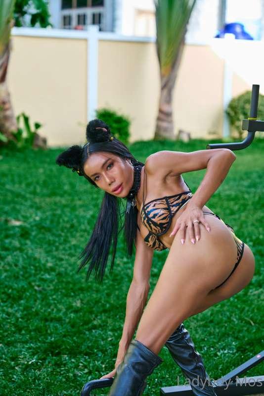 Catwoman in your backyard 🐾🌳🌿

Try to catch me😈
and when you..