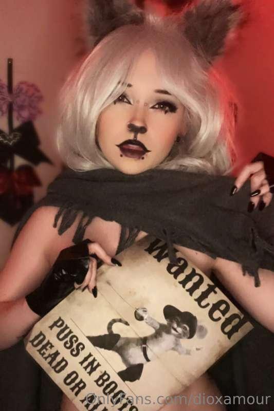 Who’s seen the new Puss in Boots?
