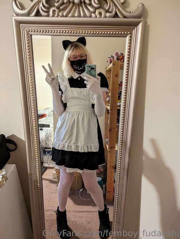 catboy maids aren't as good as cleaning as they are making a..